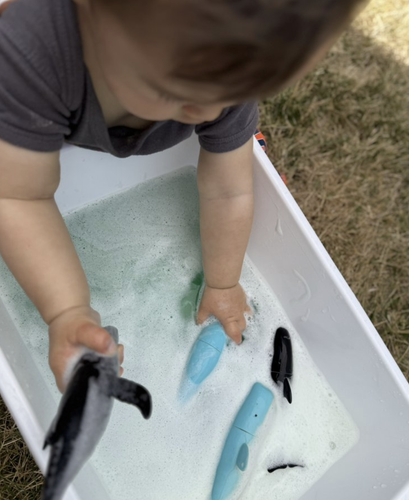 Photo of Bright Little Steps Learning - Campbell, CA