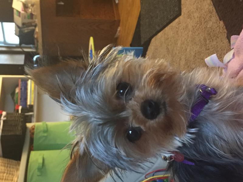 Photo of Gails Licensed Daycare - Saint Cloud, MN