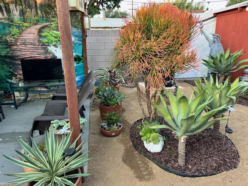 Photo of Imaginarium Daycare - Long Beach, CA