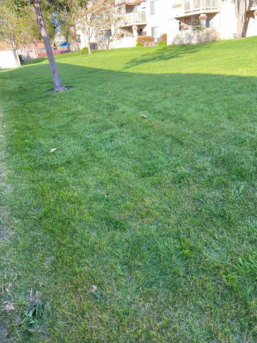 Photo of Forest Blossom Montessori Childcare - Lake Forest, CA