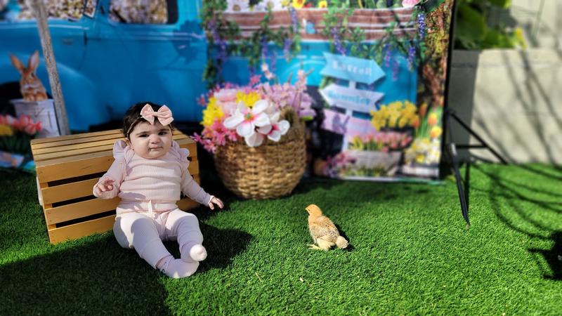 Photo of Wonder Place Daycare - Reseda, CA