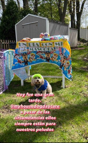 Photo of Little Adventures Daycare - Revere, MA