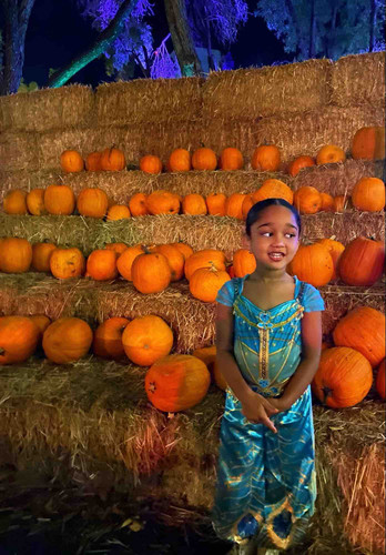 Photo of Goonetilleke Family Childcare - Reseda, CA