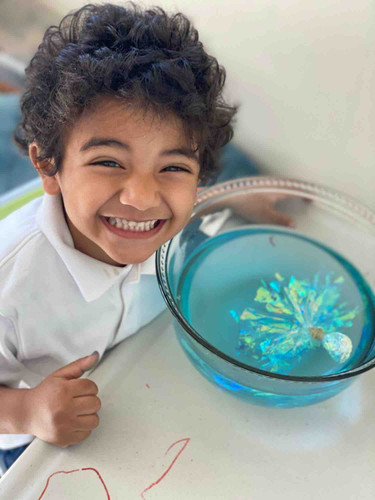 Photo of Tree House Child Care Daycare - Glendale, CA