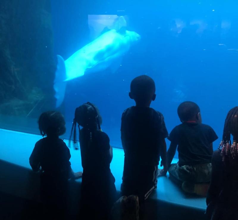 Photo of Educated Adventures LLC Daycare - North Chicago, IL