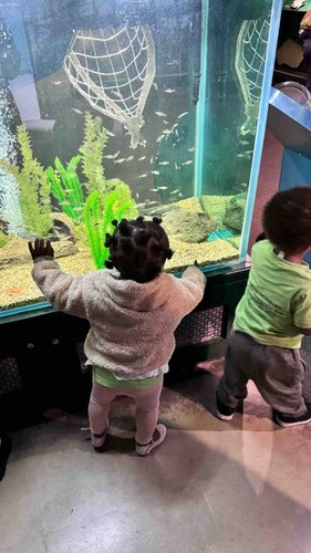 Photo of Safety 1st Daycare - Bronx, NY