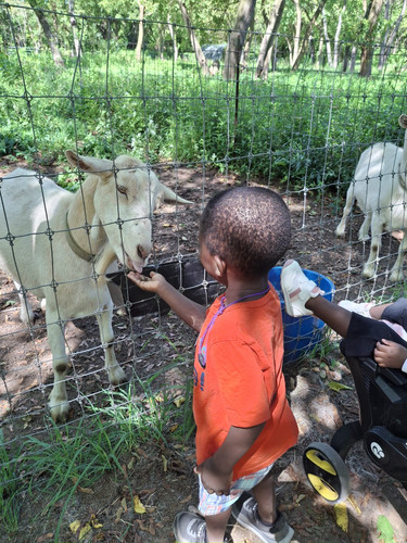 Photo of Blessed Hands Changing Lives Daycare - Queens, NY