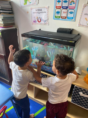 Photo of Mi Arcoiris Estrellita Daycare - Bronx, NY