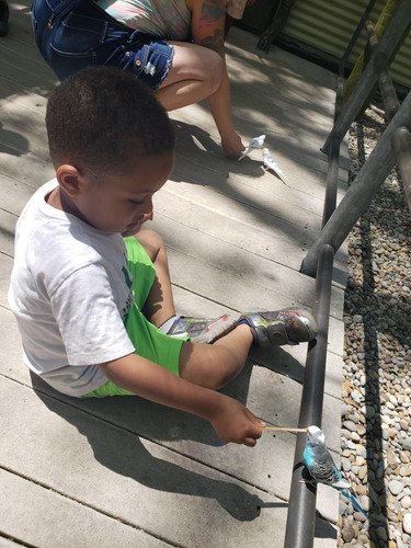 Photo of Babes' N Tots Childcare - Garfield Heights, OH