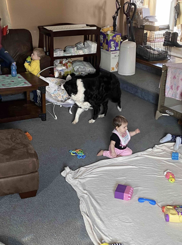 Photo of Tina's Daycare