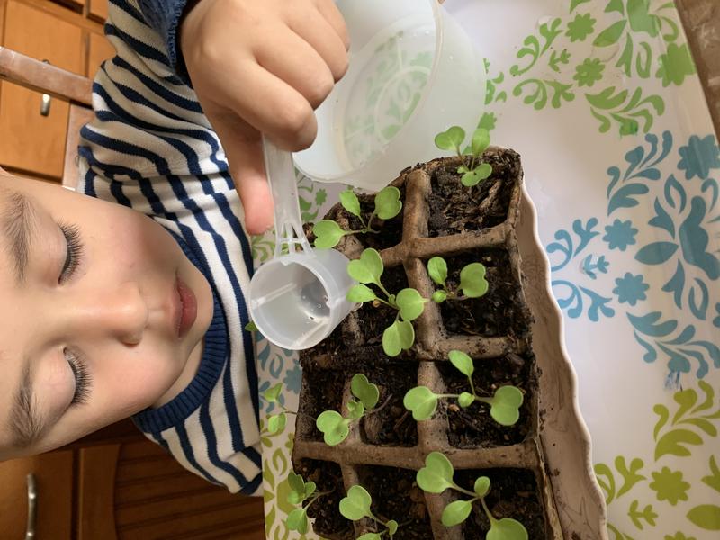 Photo of Skeyci Children Programs Daycare - Castro Valley, CA