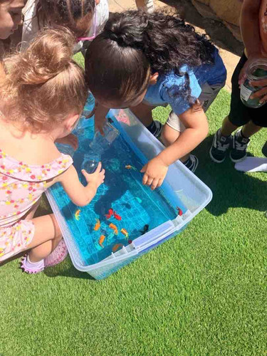 Photo of Buzy Beez Daycare - Oceanside, CA