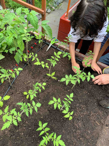 Photo of Skeyci Children Programs Daycare - Castro Valley, CA