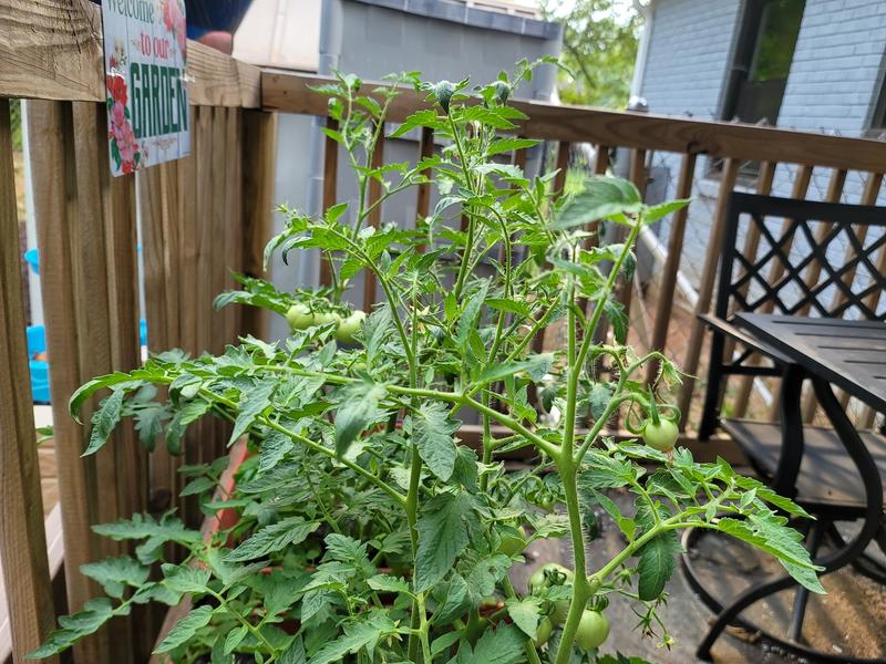 Photo of Wanda's Daycare - Decatur, GA