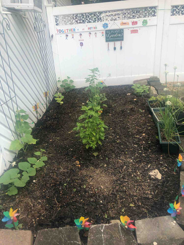 Photo of The Guiding Light Community Family Childcare Inc - Bayshore, NY