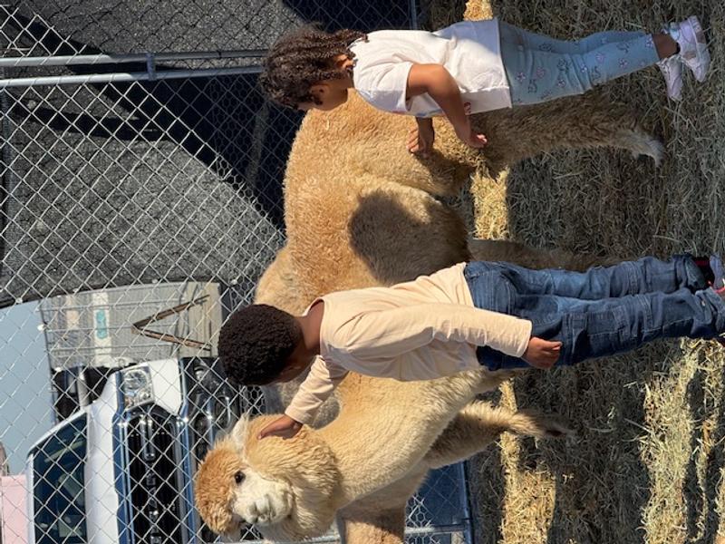 Photo of Ryans Caring Hands - San Leandro, CA