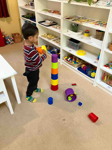 Photo of Stellar Growth - Sammamish, WA