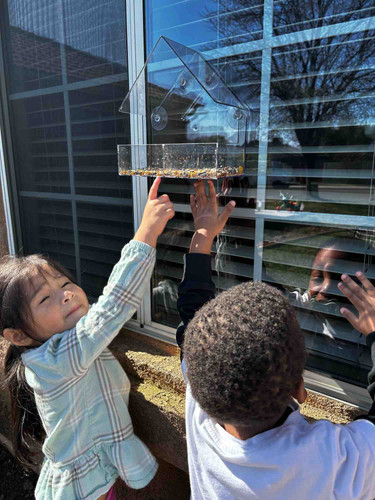 Photo of Caterpillar Cove - Hanford, CA