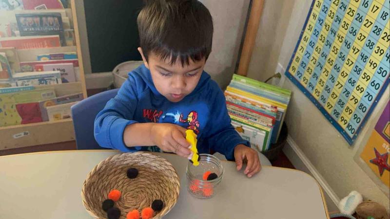 Photo of Apple Tree  Montessori Home Preschool & Childcare - San Jose, CA