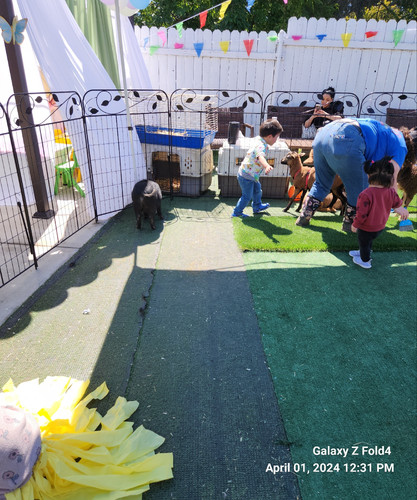 Photo of Melkonyan Family Child Care Daycare - Winnetka, CA