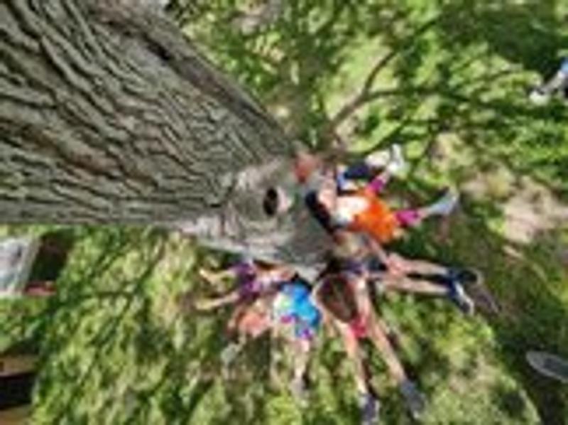 Photo of Le Petit Jardin - Sonoma, CA