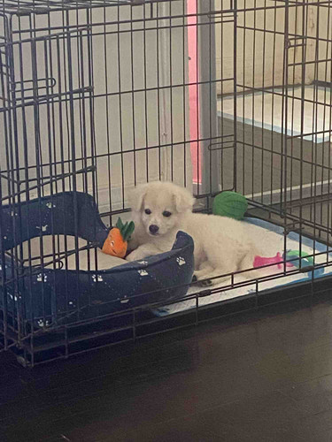 Photo of Valentin Family Daycare - Los Angeles, CA