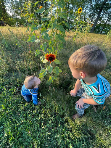 Photo of Growing Wild Daycare - Tenstrike, MN