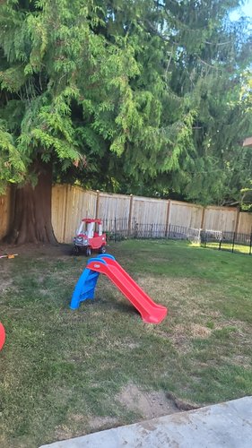 Photo of Little Achiever Childcare - Everett, WA