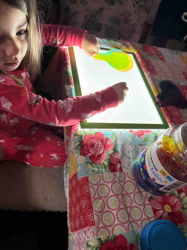 Photo of Lambs2Lions Academy - Weir, KS