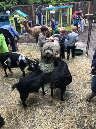 Photo of Mi Casita De Español - Palo Alto, CA