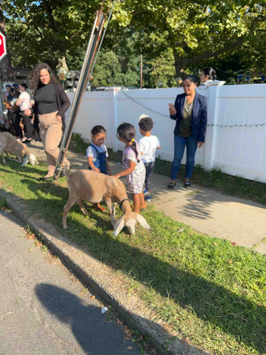 Photo of Little Friends House - Lynbrook, NY