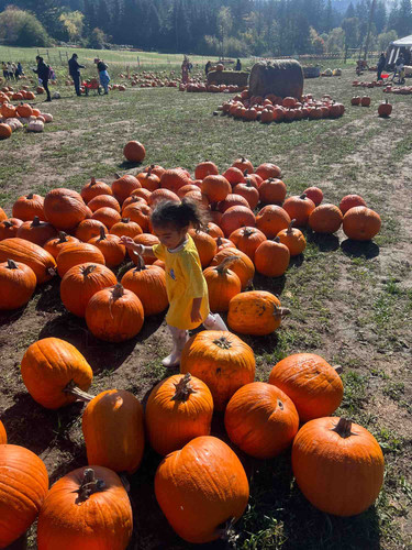 Photo of El Mundo De Los Niños LLC Daycare