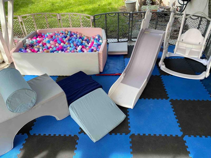 Photo of Family Tree - Petaluma, CA