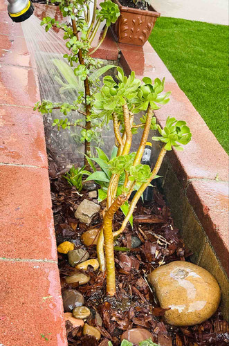 Photo of JY Learn And Care - San Diego, CA