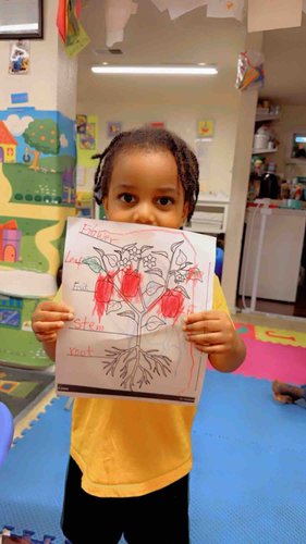 Photo of Caillou Childcare - Hyde Park, MA