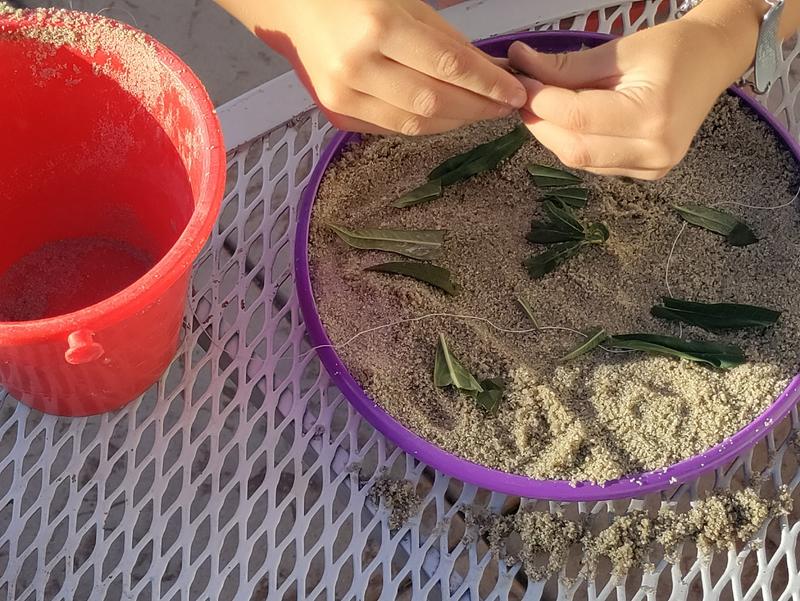 Photo of The Wild Ones: A Small Home Daycare - Alta Loma, CA