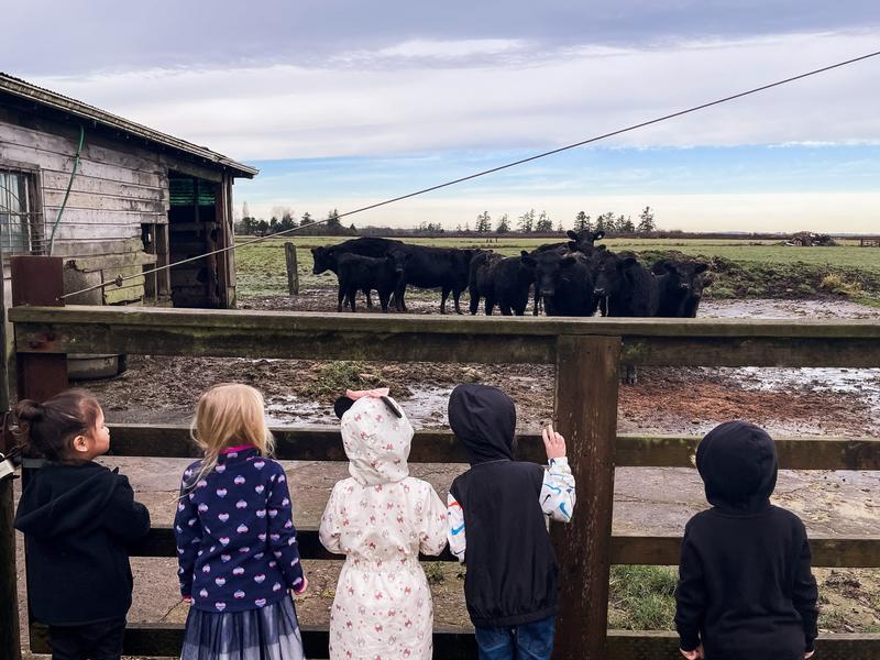 Photo of Kayla’s Kiddie Cove Daycare - Astoria, OR