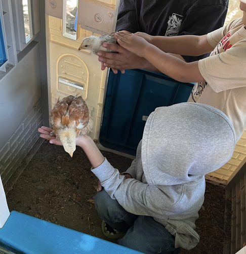 Photo of Magic Forest Childcare - San Jose, CA