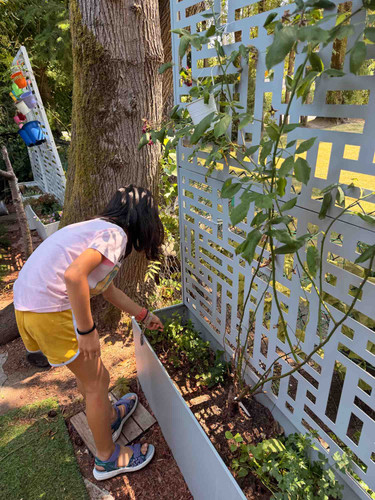 Photo of Wilburton Montessori Preschool - Bellevue, WA