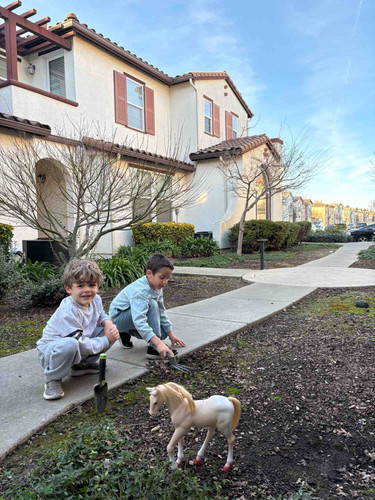 Photo of The Nest At Elk Grove - Elk Grove, CA