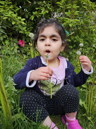 Photo of Cedar & Sound Daycare - Federal Way, WA