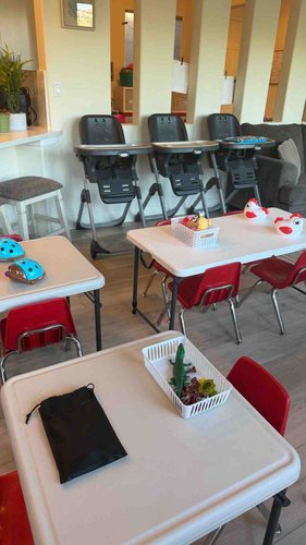 Photo of Work N Play Home Daycare - Folsom, CA