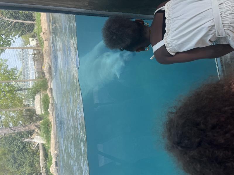 Photo of Glowing Stars Daycare - Buffalo, NY