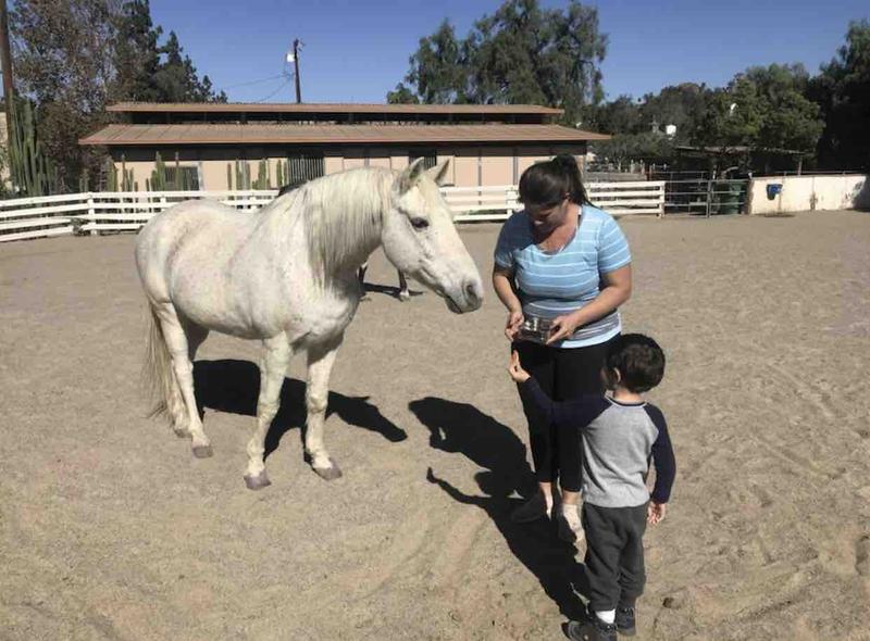 Photo of Country Kid’s Daycare - Orange, CA