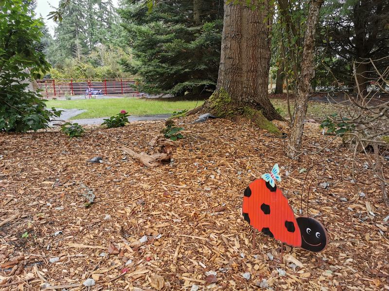 Photo of Bunny Hop Academy - Marysville, WA