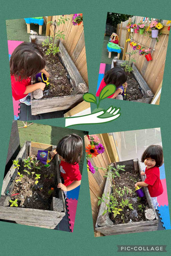 Photo of Little Angels Spanish Immersion - Round Rock, TX