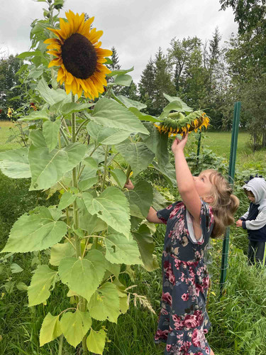 Photo of Growing Wild Daycare - Tenstrike, MN