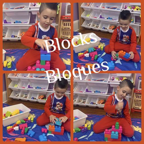 Photo of Little Ray Of Light ( Rayito De Luz ) - Syracuse, NY