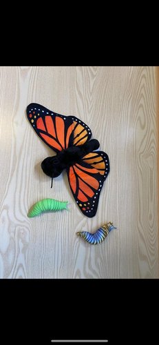 Photo of Early Emergent Spanish School - Bellevue, WA