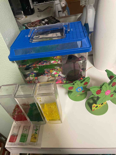 Photo of Burgos Family Daycare - Bell Gardens, CA